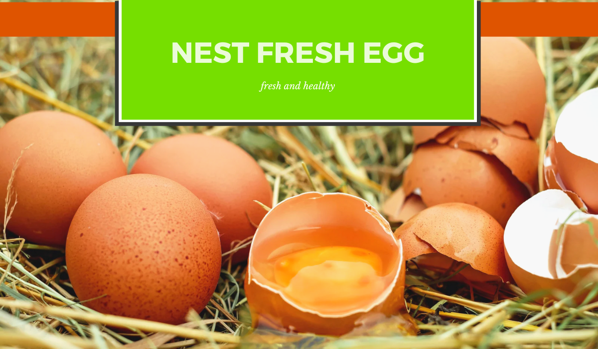 nest fresh (3)